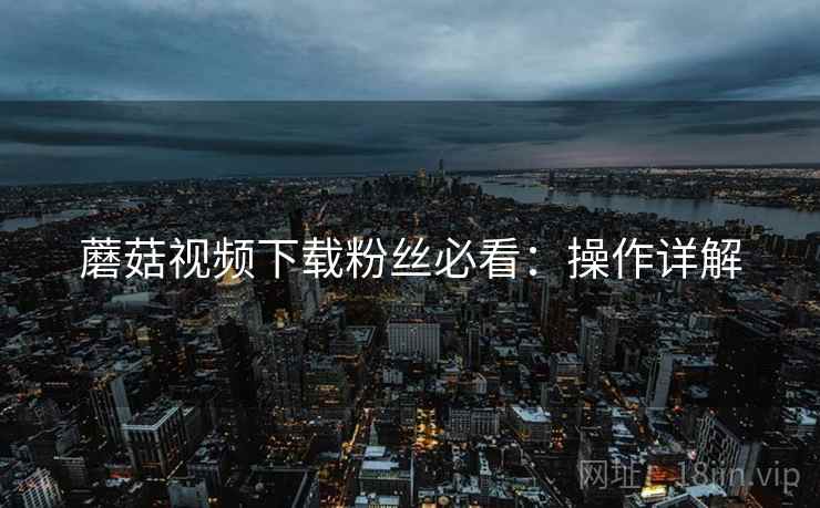 蘑菇视频下载粉丝必看：操作详解