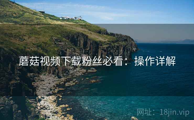 蘑菇视频下载粉丝必看：操作详解