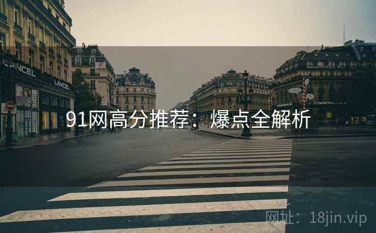 91网高分推荐：爆点全解析