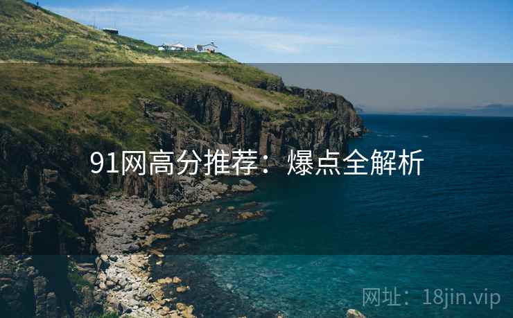 91网高分推荐：爆点全解析