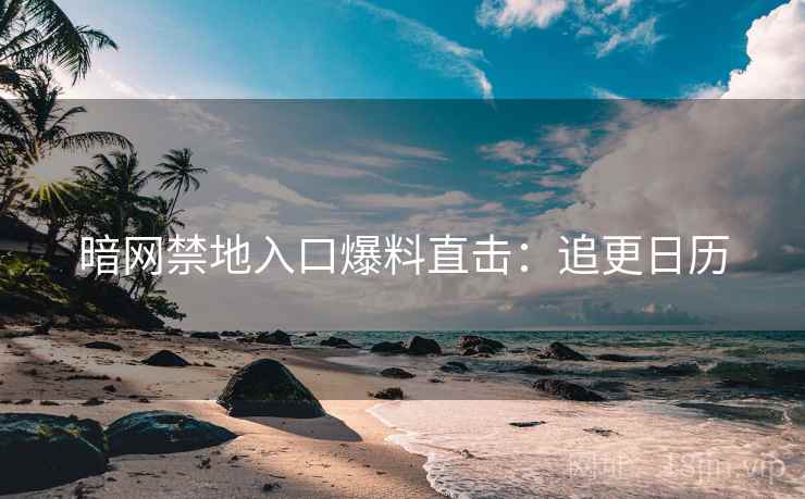 暗网禁地入口爆料直击：追更日历