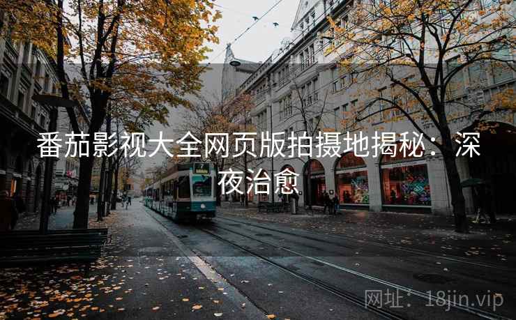 番茄影视大全网页版拍摄地揭秘：深夜治愈