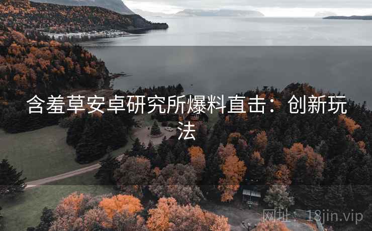 含羞草安卓研究所爆料直击：创新玩法