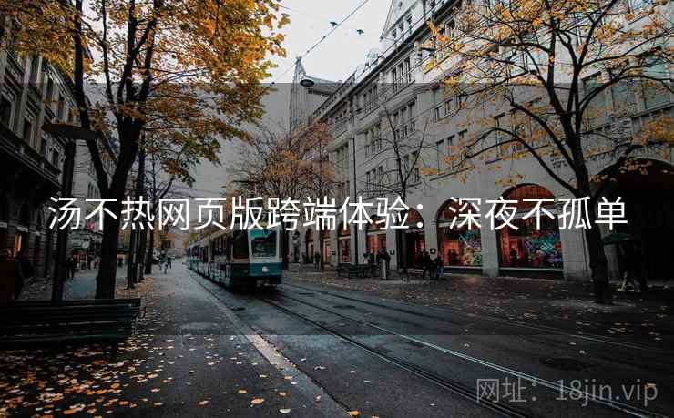 汤不热网页版跨端体验：深夜不孤单