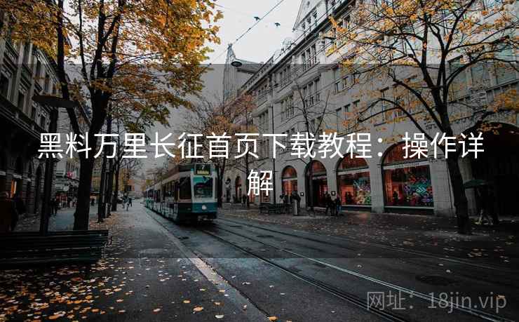 黑料万里长征首页下载教程：操作详解