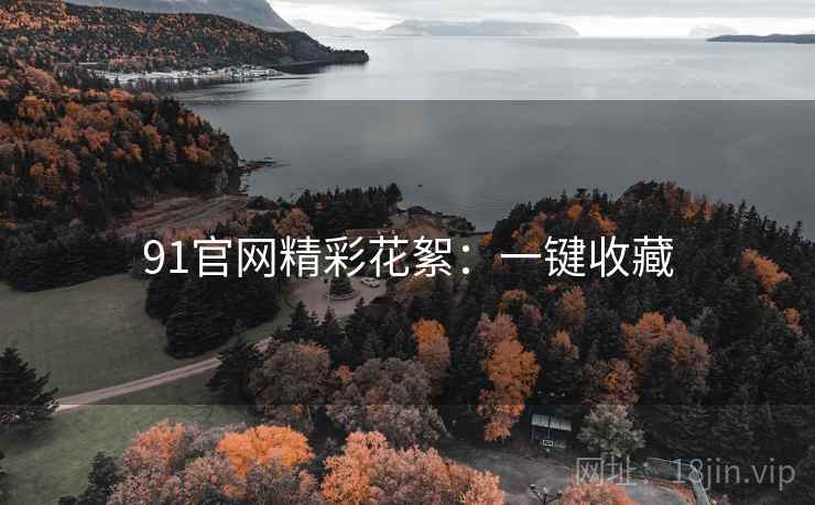 91官网精彩花絮：一键收藏